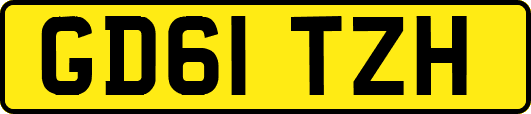 GD61TZH