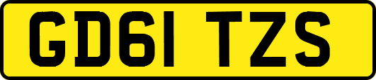 GD61TZS