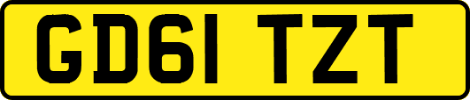 GD61TZT