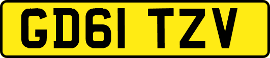 GD61TZV
