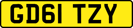 GD61TZY