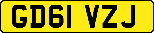 GD61VZJ