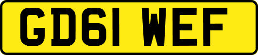 GD61WEF
