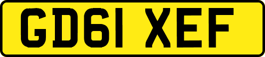 GD61XEF