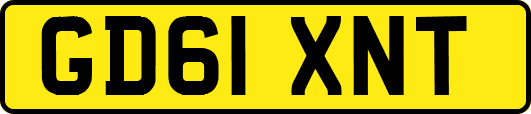 GD61XNT