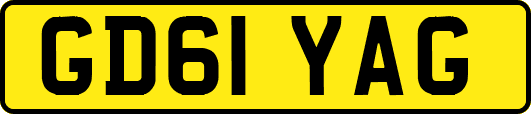 GD61YAG