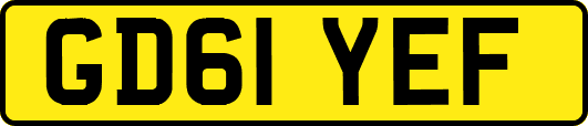 GD61YEF