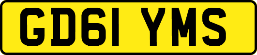 GD61YMS