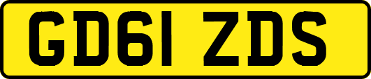 GD61ZDS