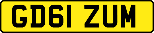 GD61ZUM