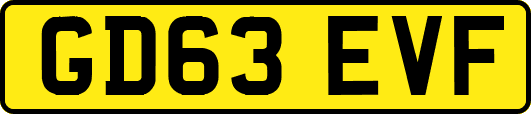 GD63EVF