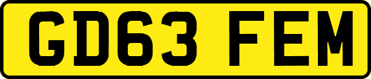 GD63FEM