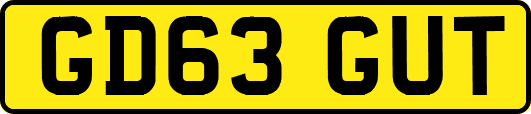 GD63GUT
