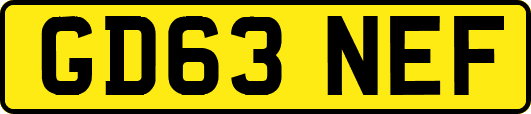 GD63NEF