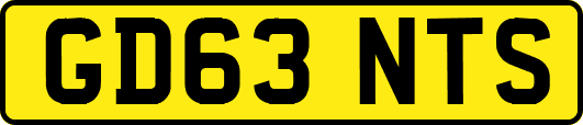 GD63NTS