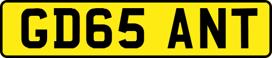 GD65ANT