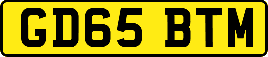 GD65BTM