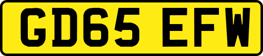 GD65EFW