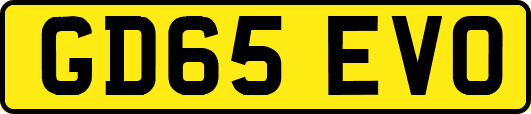 GD65EVO