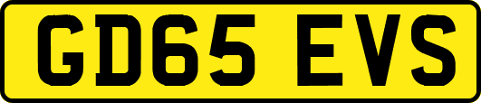 GD65EVS