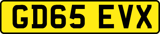GD65EVX
