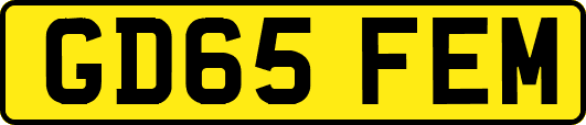 GD65FEM