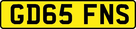 GD65FNS