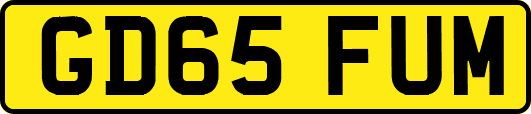 GD65FUM