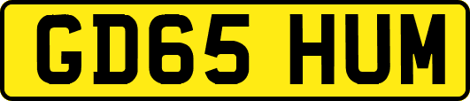GD65HUM