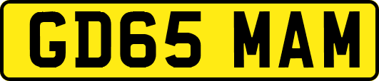 GD65MAM