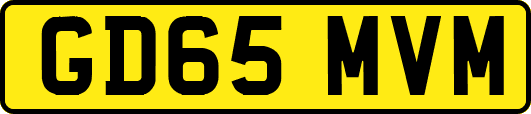 GD65MVM