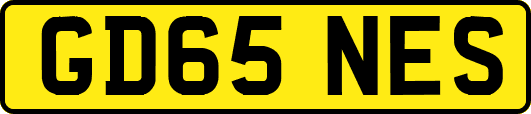 GD65NES