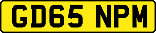 GD65NPM