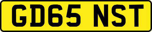 GD65NST