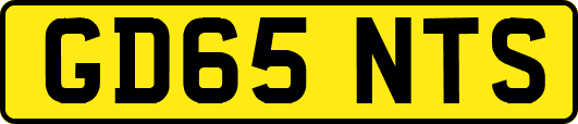 GD65NTS