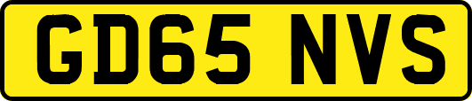 GD65NVS