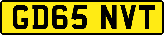 GD65NVT