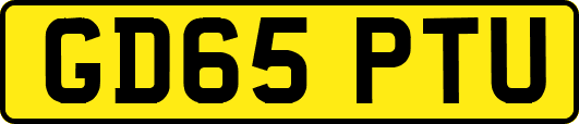 GD65PTU
