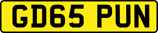 GD65PUN
