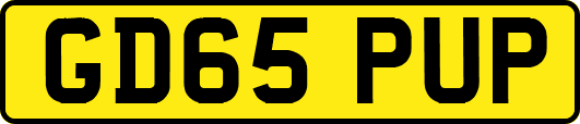 GD65PUP