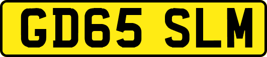 GD65SLM