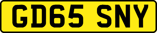 GD65SNY