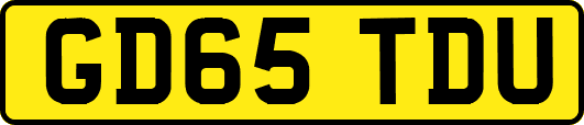 GD65TDU