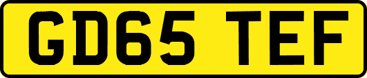 GD65TEF