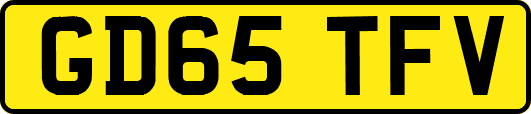 GD65TFV