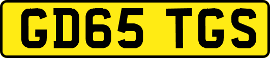 GD65TGS