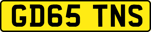 GD65TNS