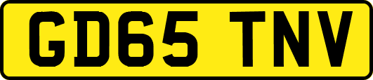 GD65TNV