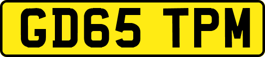 GD65TPM