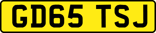 GD65TSJ